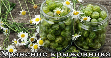 хранение крыжовника