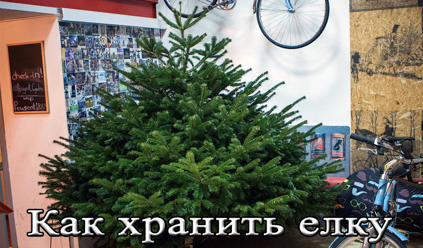 Как Хранить Новогоднюю Елку Как Хранить Новогоднюю Елку